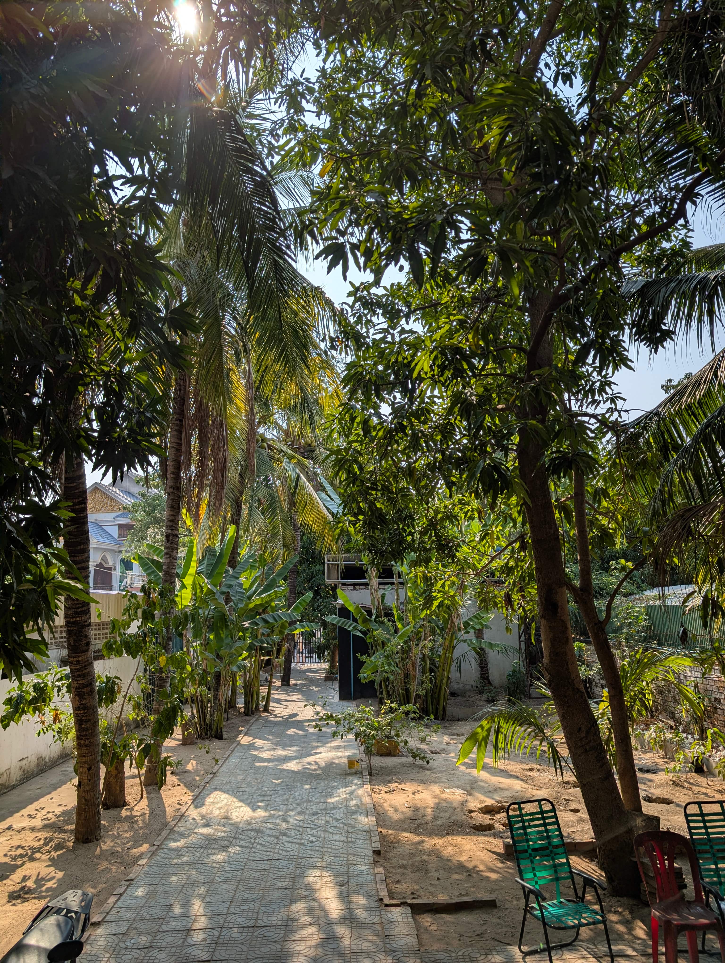 Garden